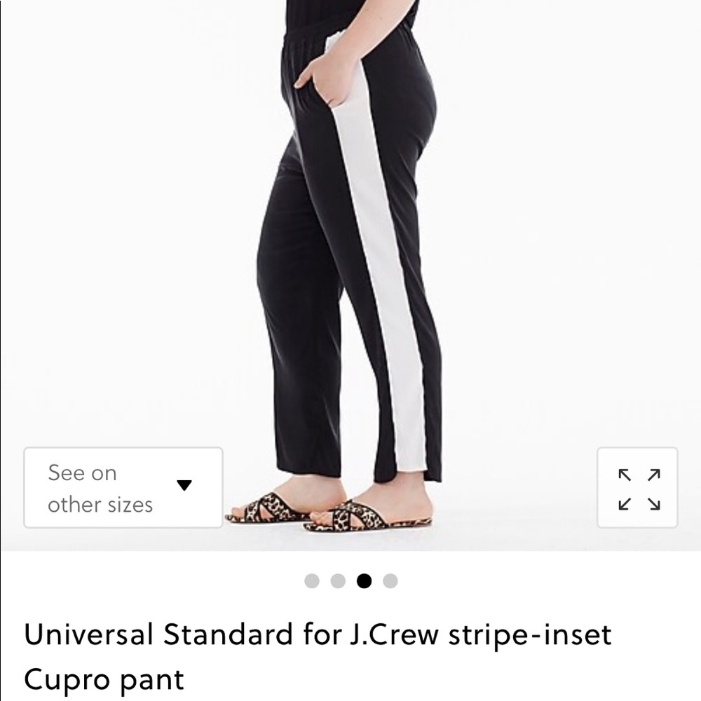 J Crew x Universal Standard Cupro Pants